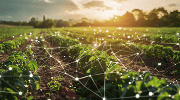 IoT in Agriculture: The Connected Future of Farming